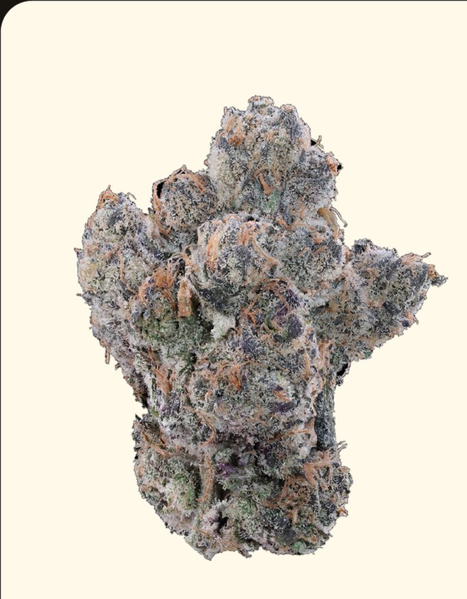 Premium indoor Cali Crush cannabis flower